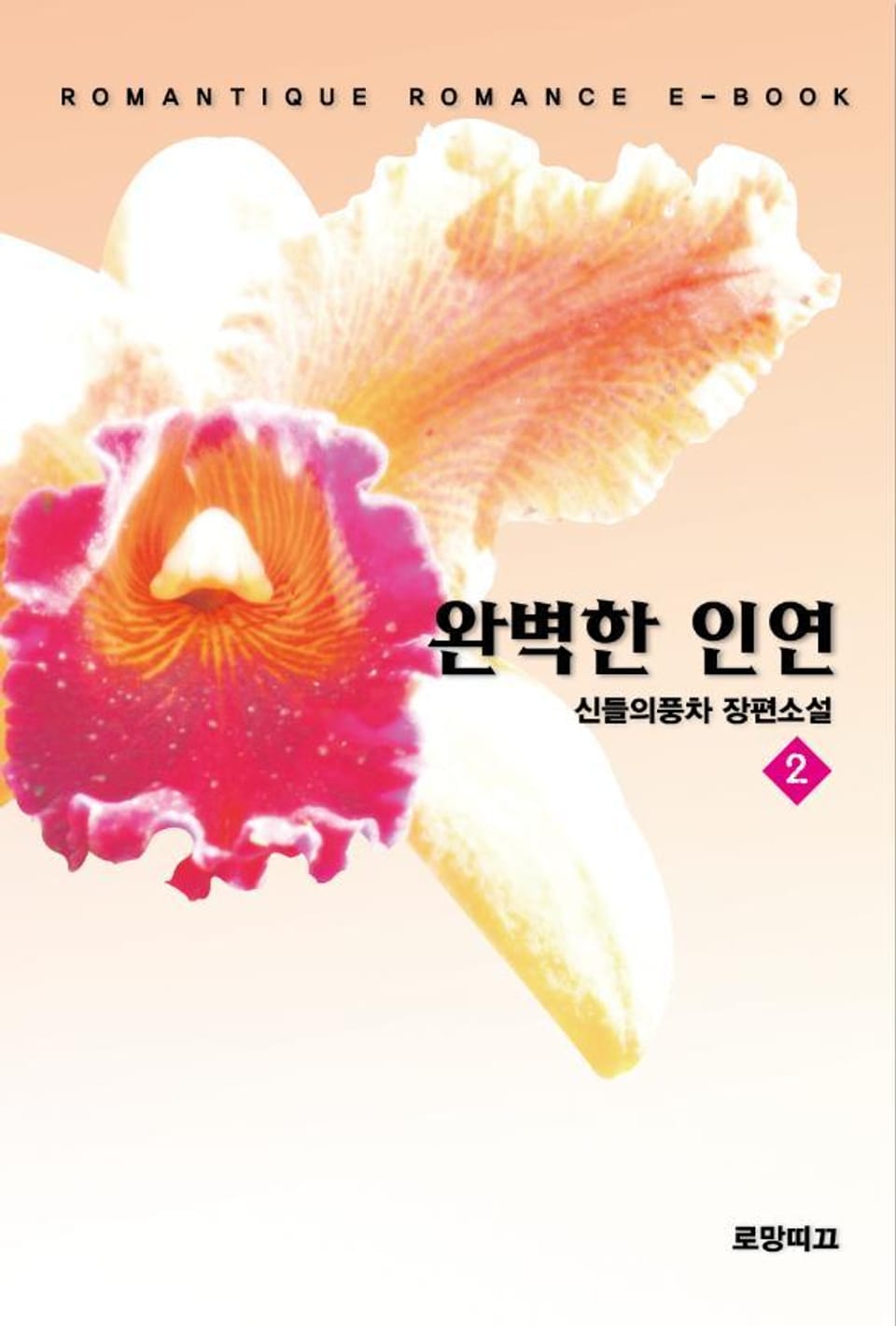 완벽한 인연 2권 (완결)