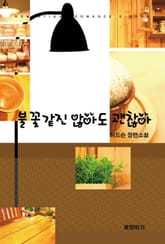 불꽃같진 않아도 괜찮아 표지 이미지