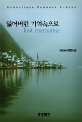 잃어버린 기억 속으로 lost memorise  표지 이미지
