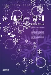 눈 내리는 밤에 표지 이미지