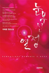 눈부신 열정 표지 이미지