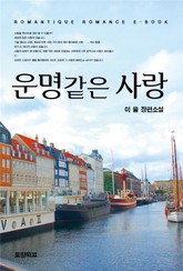 운명같은 사랑 표지 이미지