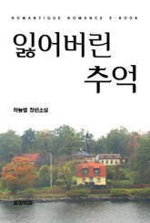 잃어버린 추억 표지 이미지