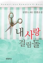 내 사랑 걸림돌 표지 이미지