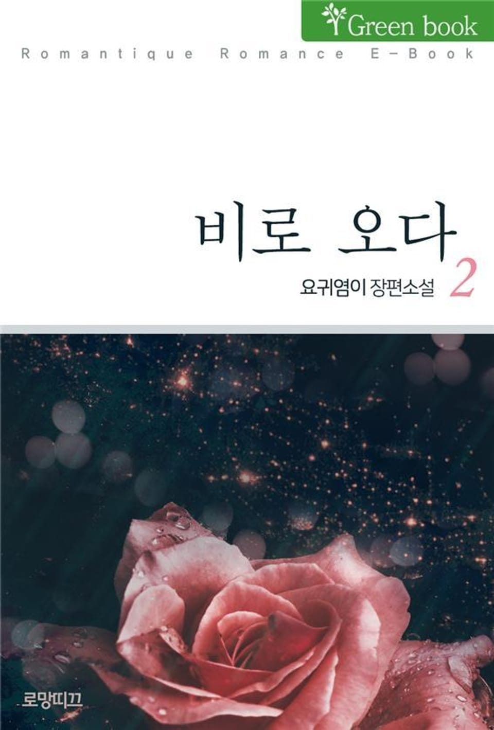 비로 오다 2권 (완결)