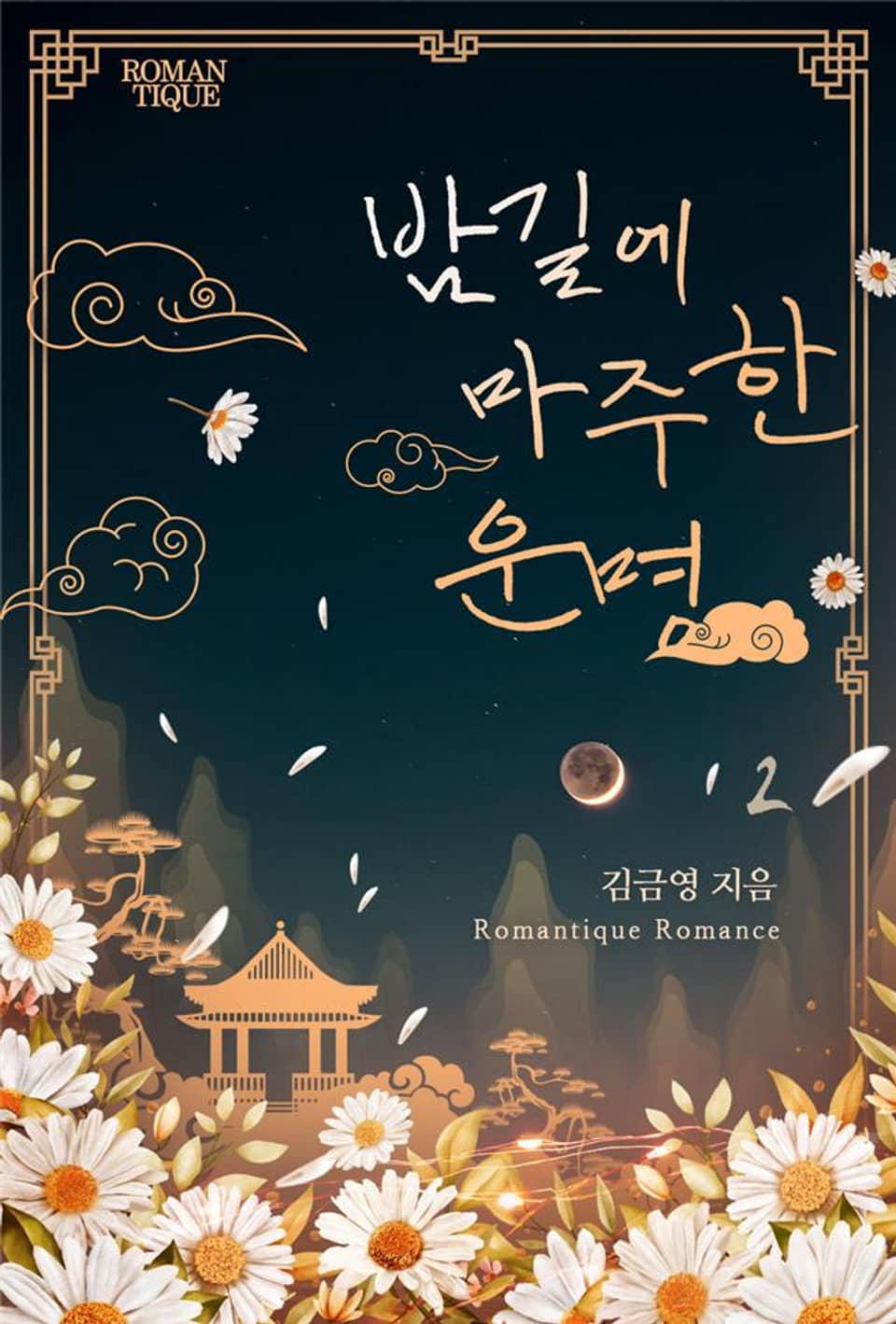 밤길에 마주한 운명 2권