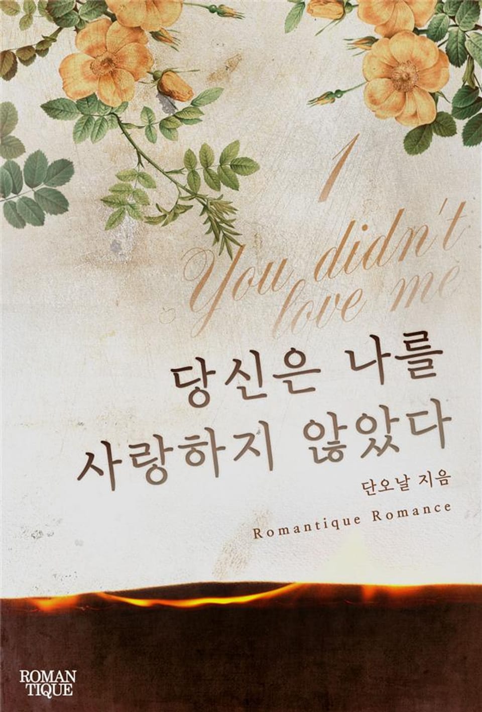 당신은 나를 사랑하지 않았다 1권