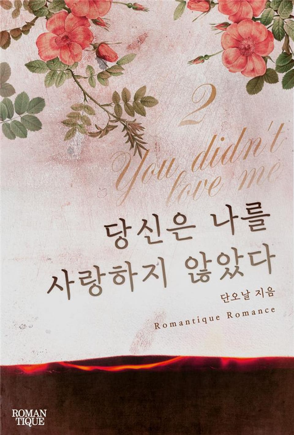 당신은 나를 사랑하지 않았다 2권