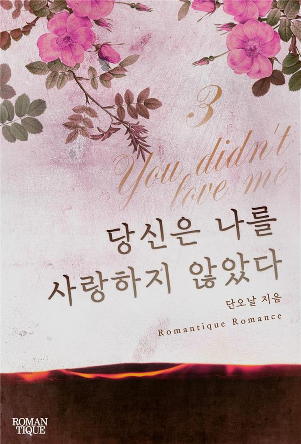 당신은 나를 사랑하지 않았다 3권