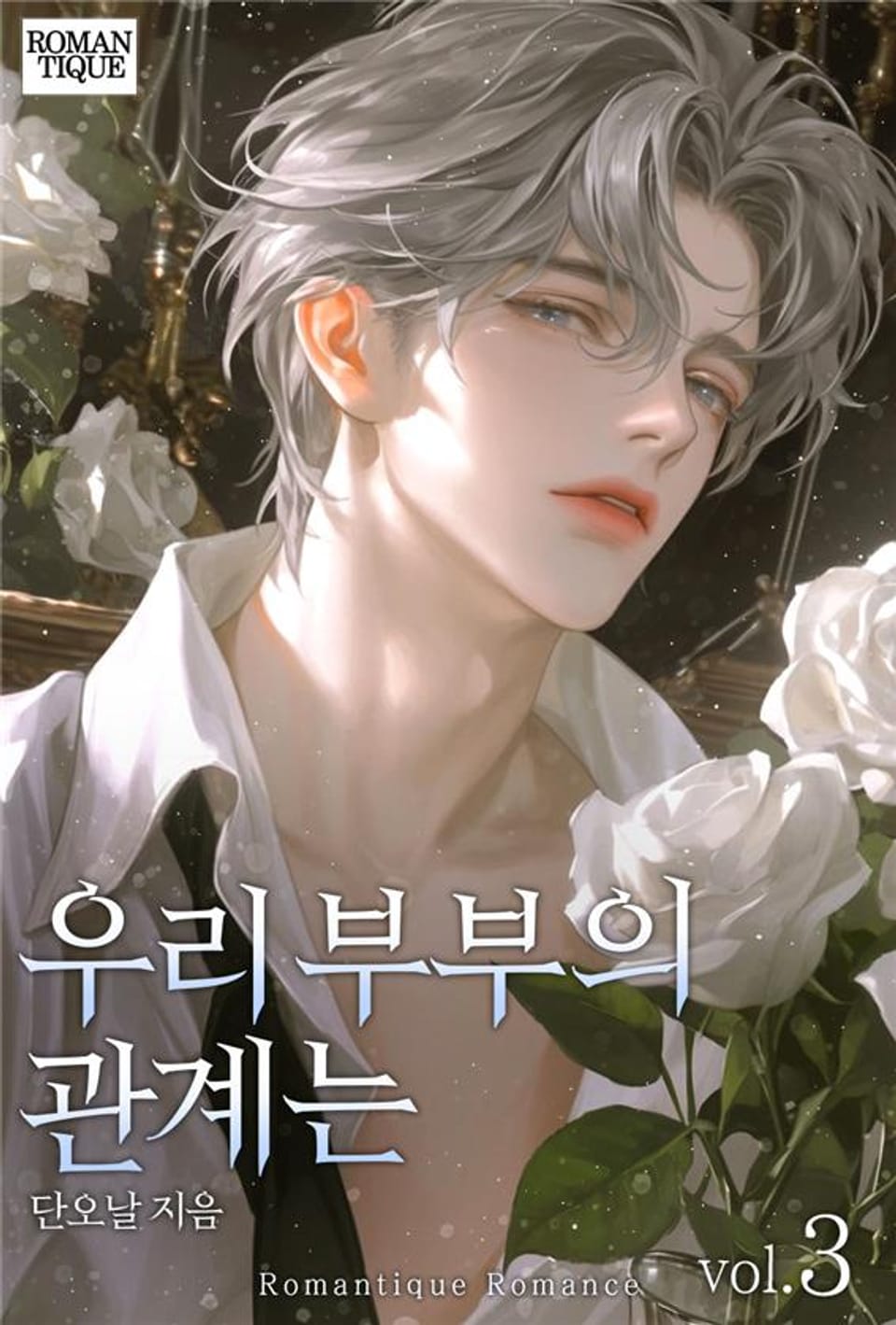 우리 부부의 관계는 3권 (완결)