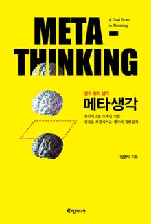 메타생각(Meta-Thinking)