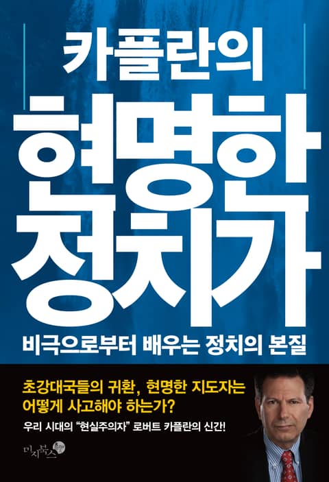 카플란의 현명한 정치가 표지 이미지