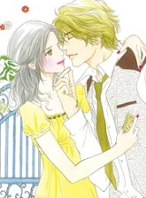 [할리퀸] 시티 브라이드 시리즈 표지 이미지