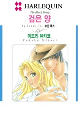 [할리퀸] 검은 양 표지 이미지