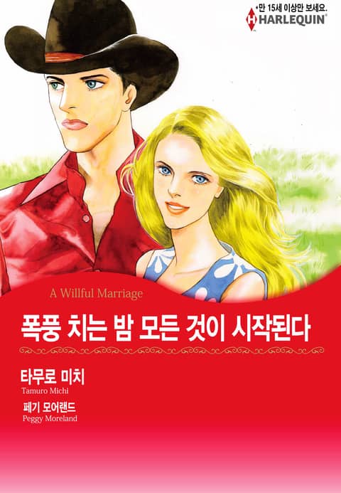 [할리퀸] 폭풍 치는 밤 모든 것이 시작된다 표지 이미지