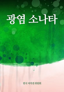 광염 소나타