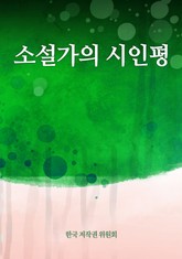 소설가의 시인평 표지 이미지