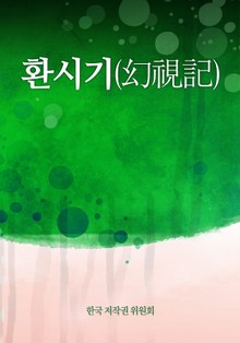 환시기(幻視記)