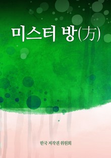 미스터 방(方)
