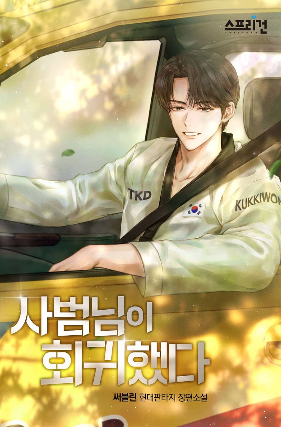 사범님이 회귀했다 9권