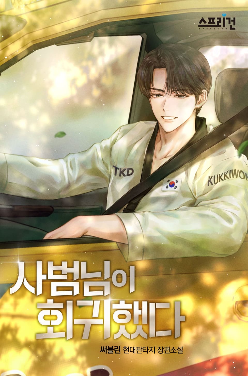 사범님이 회귀했다 10권 (완결)