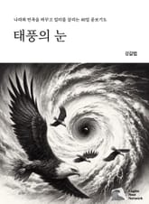 태풍의 눈 표지 이미지