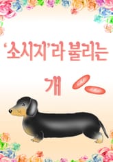 ‘소시지’라 불리는 개 표지 이미지