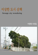 이상한 도시 산책 표지 이미지