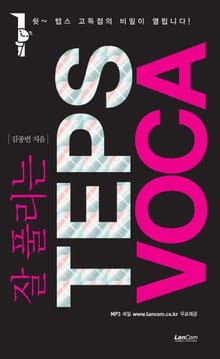 잘 풀리는 TEPS VOCA