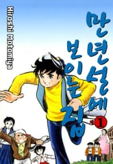 만년설에 보이는 집 표지 이미지