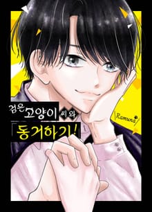 검은 고양이 씨와 동거하기!