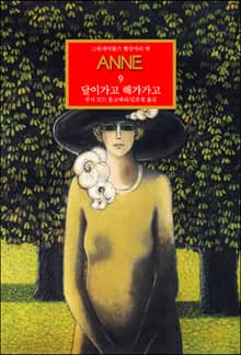 빨강머리 앤 9 - 달이 가고 해가 가고