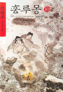 홍루몽 10