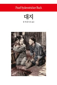 대지