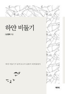 하얀 비둘기