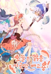 오늘은 맑음, 이곳만 빼고용 표지 이미지