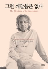 그런 깨달음은 없다 표지 이미지