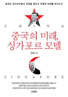 중국의 미래, 싱가포르 모델