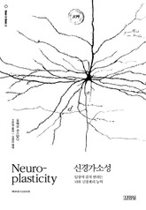 신경가소성 표지 이미지