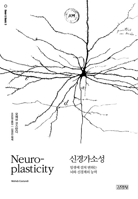 신경가소성 표지 이미지