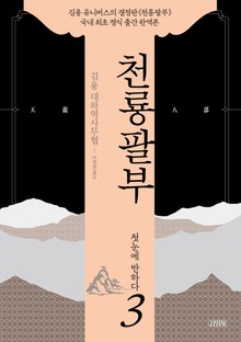 천룡팔부 3권