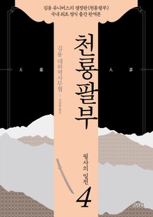 천룡팔부 4권