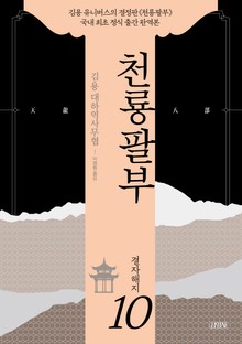 천룡팔부 10권