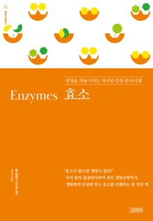 효소