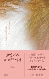 고양이가 두고 간 세계 표지 이미지