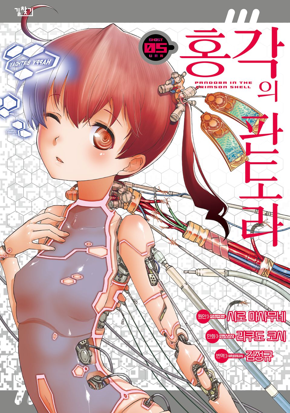 홍각의 판도라 5권