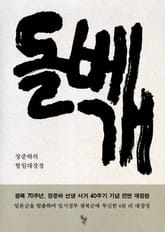 돌베개 표지 이미지