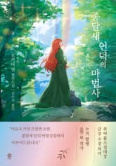 종달새 언덕의 마법사 표지 이미지