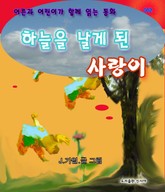 하늘을 날게 된 사랑이(어른을 위한 동화) 표지 이미지