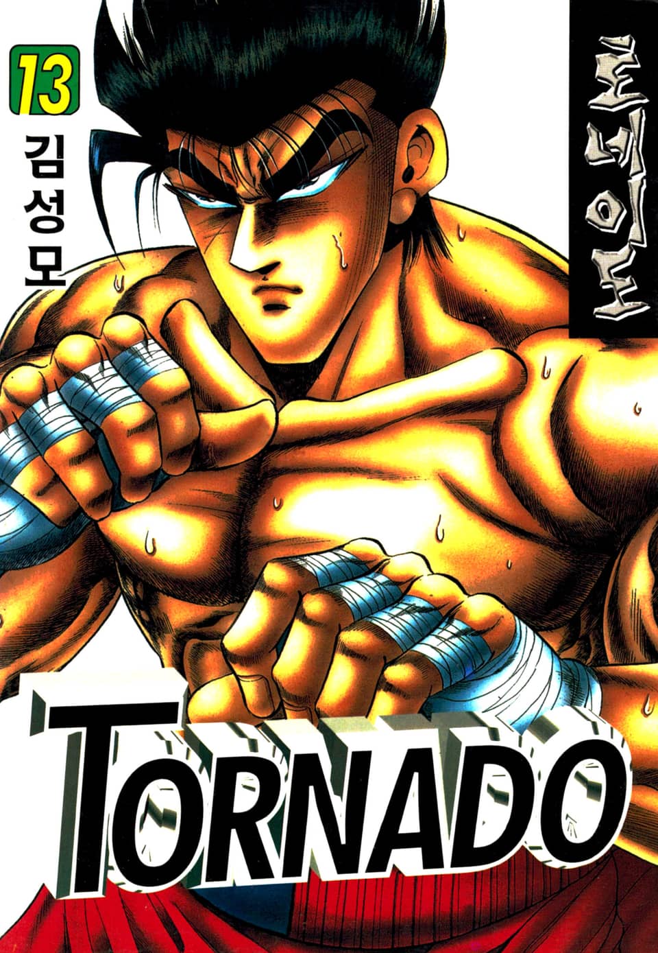 토네이도 13권